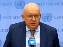 Russia's UN ambassador derides suggestion on UNSC presidency