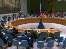 UN Security Council adopted Gaza cease-fire resolution