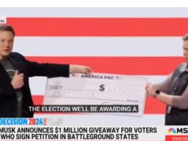 Elon Musk announces $1M giveaway for voters signing  petition in battleground states