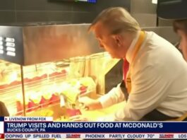 Trump's appearance at McDonald's gone viral