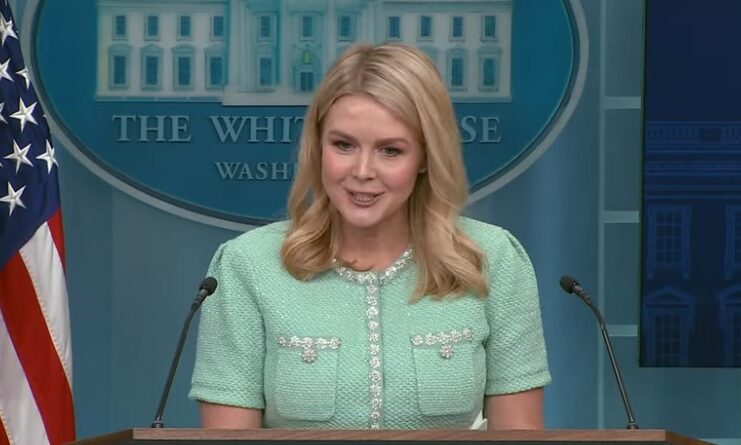 Rubio-Musk blowup: WH press secretary said Trump had dinner with Rubio and Musk