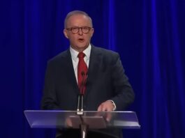 Anthony Albanese wins Australia's election