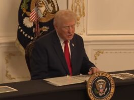 Trump vows to ‘permanently pause’ migration from ‘Third World countries’