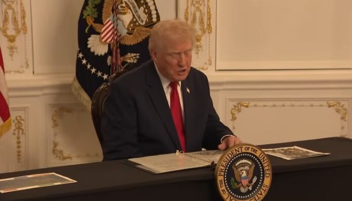 Trump vows to ‘permanently pause’ migration from ‘Third World countries’