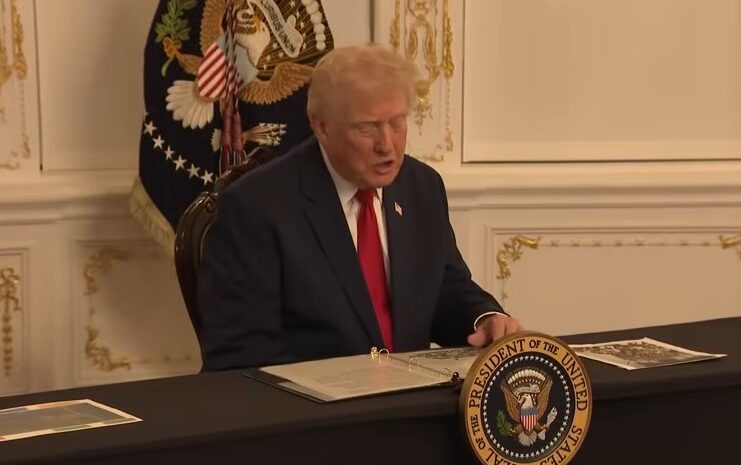 Trump vows to ‘permanently pause’ migration from ‘Third World countries’