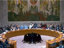 UN adopted US-led resolution on Gaza Peace plan