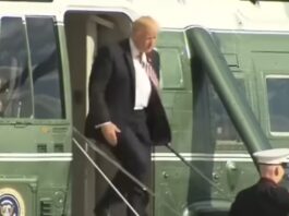 Pause on asylum decisions will last 'a long time’- President Trump