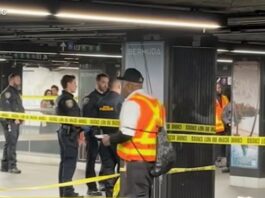 Police shot and killed a machete-wielding man at Grand Central subway platform