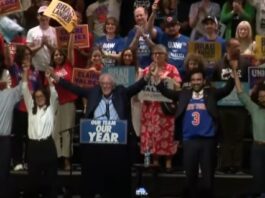Mamdani-backed all candidates win in NY Congressional races