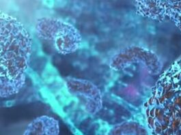 Three dead from Legionnaires’ disease in New York City Three dead from Legionnaires' disease in New York City
