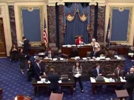 US Senate passes Russia sanctions bill