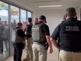 ICE whistleblower warned of 'unprecedented lowering of standards' during hiring spree