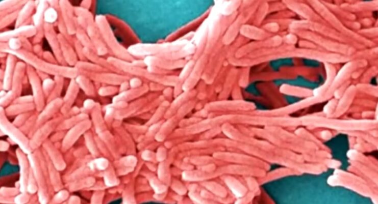Mayor Mamdani announces new measures to combat Legionnaires’ disease