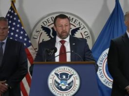 ‘Operation Rotten Apple’: 2,100 arrests in NY